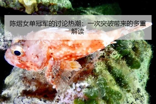 chen-yi-nv-dan-guan-jun-de-tao-lun-re-chao-yi-ci-tu-po-dai-lai-de-duo-zhong-jie-du-2-232.jpg