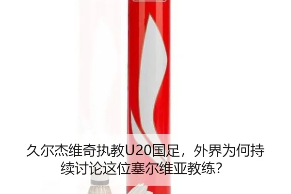 jiu-er-jie-wei-qi-zhi-jiao-guo-zu-wai-jie-wei-he-chi-xu-tao-lun-zhe-wei-sai-er-wei-ya-jiao-lian-2-770.jpg